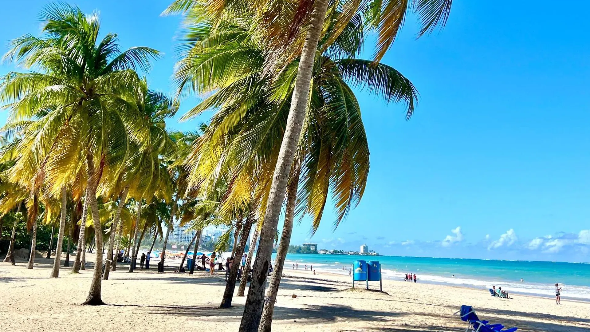 Ocean View Apt On Isla Verde In A 14Th Floor San Juan 0*,
