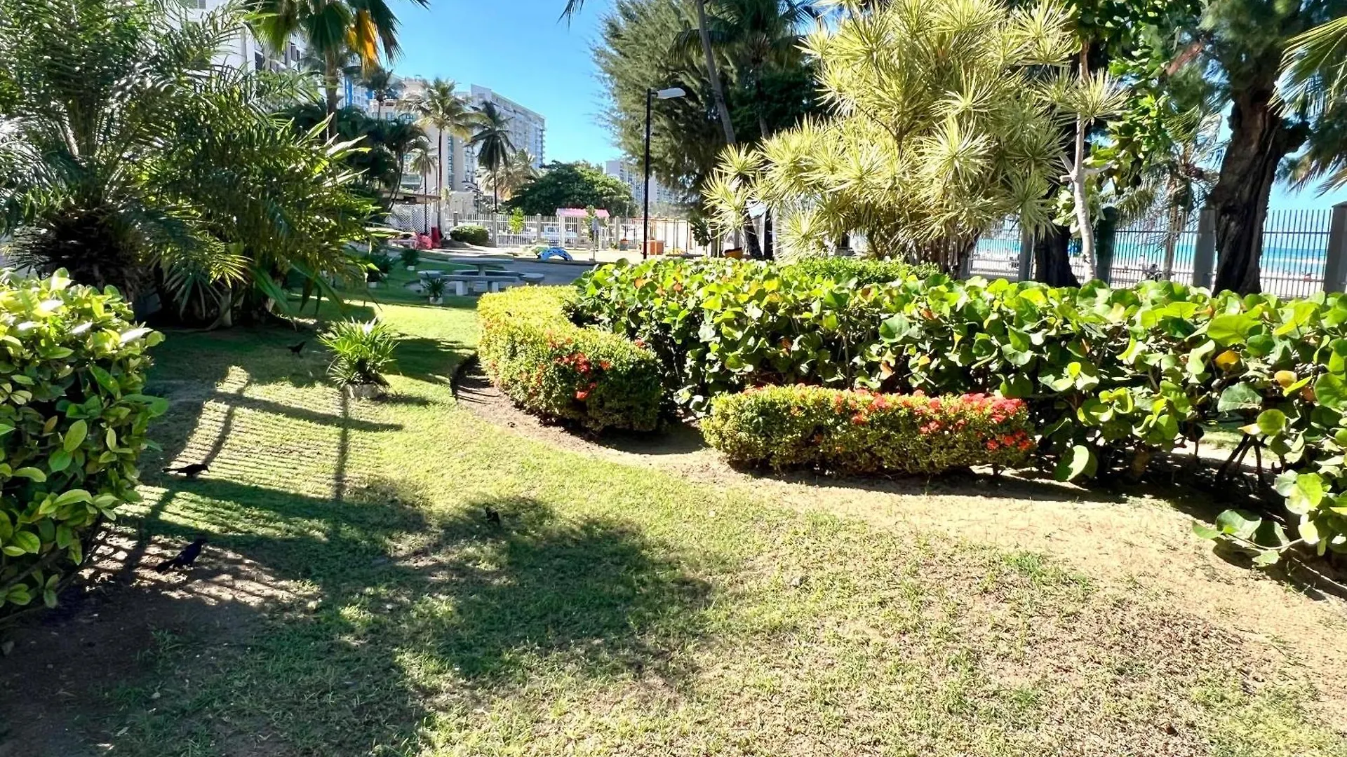 Apartment Ocean View Apt On Isla Verde In A 14Th Floor San Juan