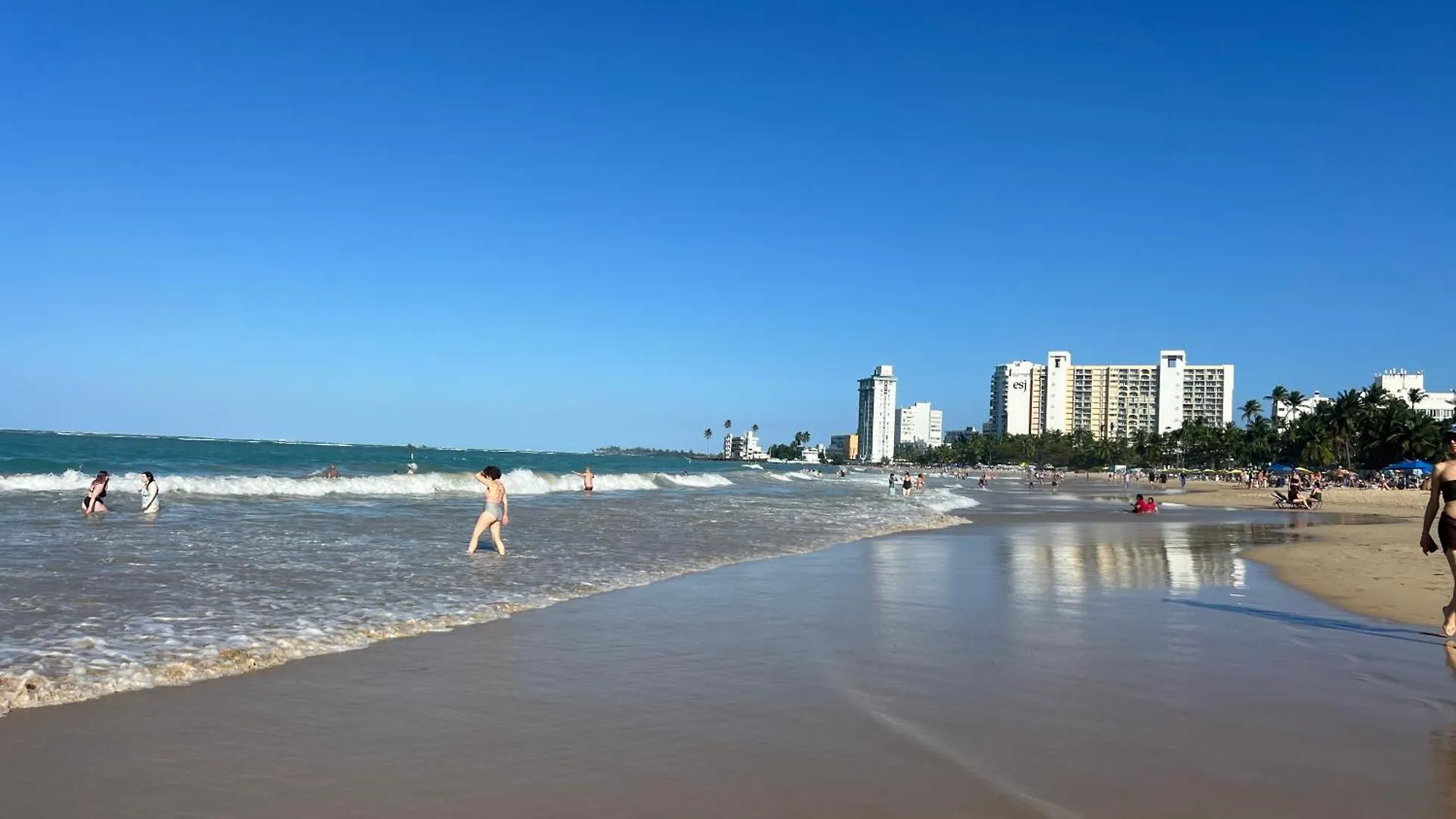Ocean View Apt On Isla Verde In A 14Th Floor San Juan